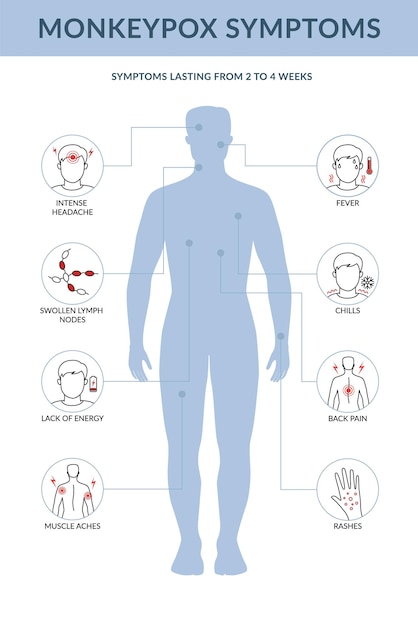 Monkey pox symptoms infographic It cause skin infections Flat line vector illustration