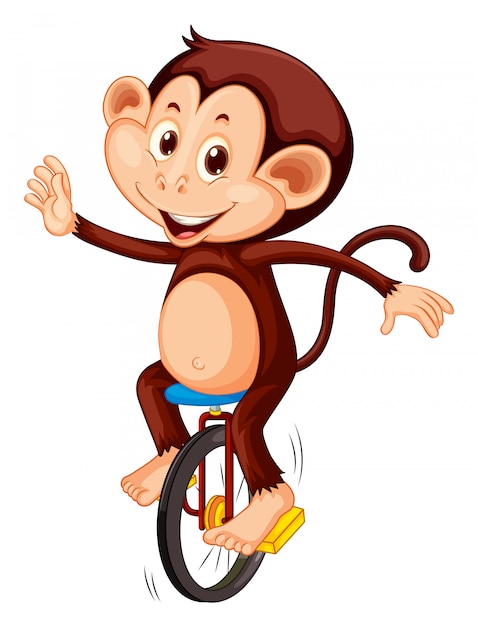 A monkey riding unicycle