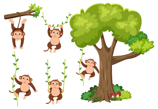 Monkey Vine Branch and Tree Elements in Vector Cartoon Style