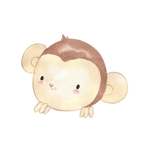 Monkey watercolor illustration for kids