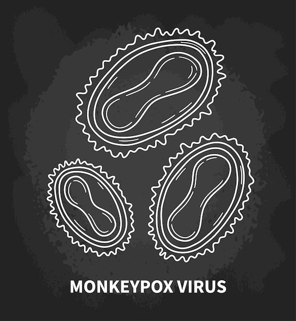 Monkeypox virus internal structure of the cell in close up