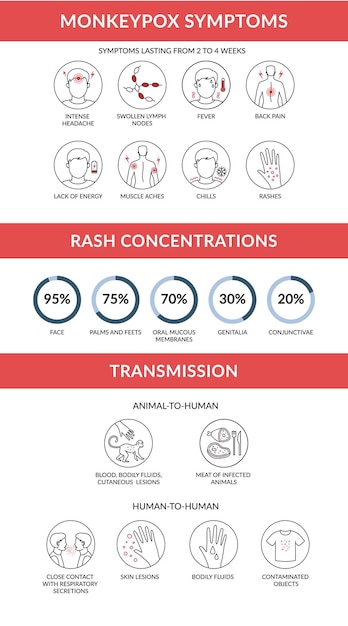 Monkeypox virus symptoms transmission and rash concentration Outbreak of infection from monkey infographic Linear vector illustration