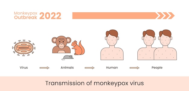 Vector monkeypox virus transmission banner concept vector illustration isolated on a white background