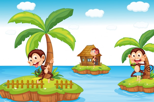 Monkeys at the beach