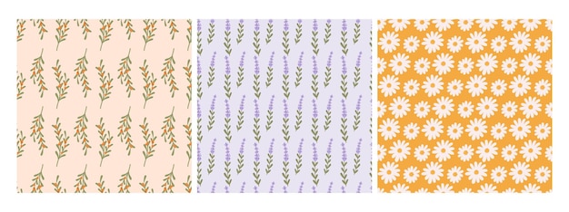 Mono flowers seamless patterns Lavender chamomile and sea buckthorn branch Cozy romantic trendy fabric prints Wild meadow flowers vector background of pattern vintage seamless illustration