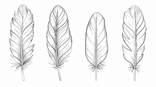 Vector monochrome bird feather outline graphic design