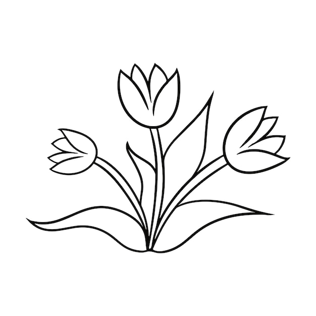 Monochrome bouquet of tulips with leaves doodles vector cartoon