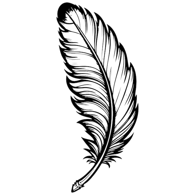 Vector monochrome cartoon feather of hand drawn line illustration transparent background