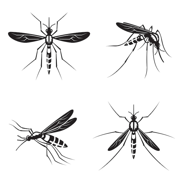 monochrome collection of mosquito with stinger