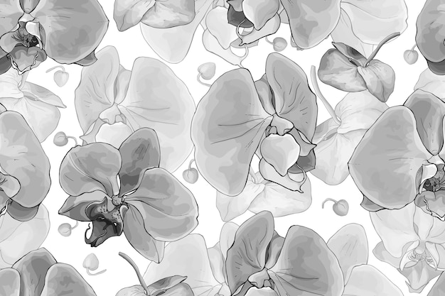 Monochrome floral seamless pattern with flowers orchids Black and white