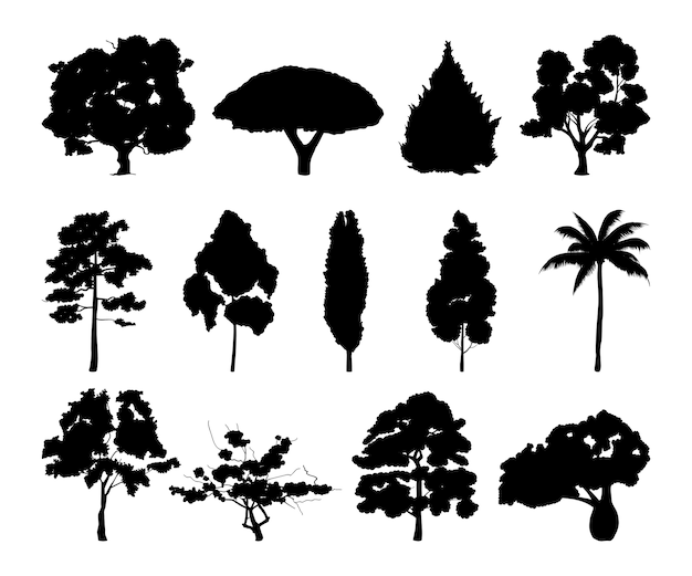 Monochrome illustrations of different trees silhouettes. Black wood tree with leaf 