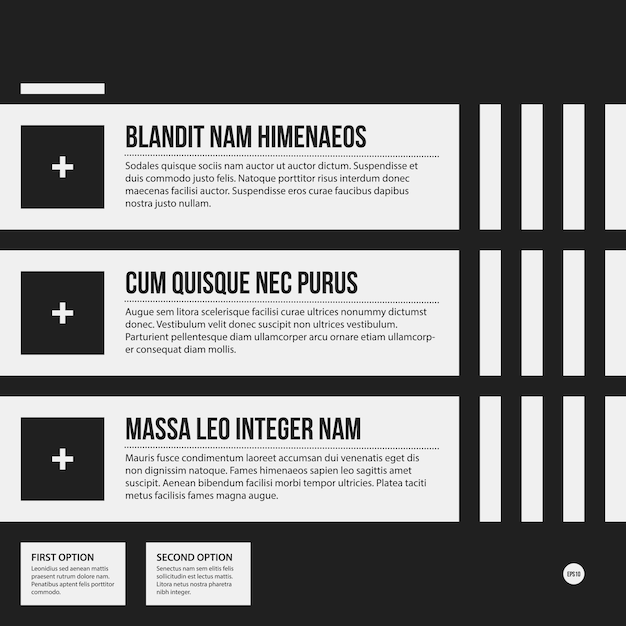 Monochrome options template in strict contrast style. Useful for presentations and web design.