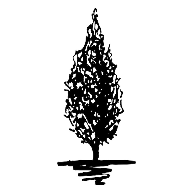 Vector monochrome tree silhouette sketched line art isolated vector