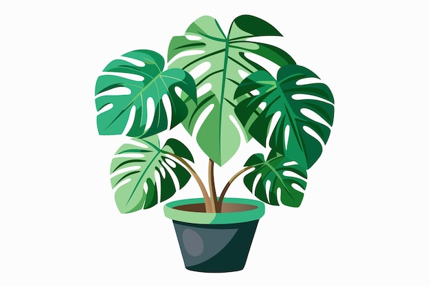 Monster Plant Vector art on white background