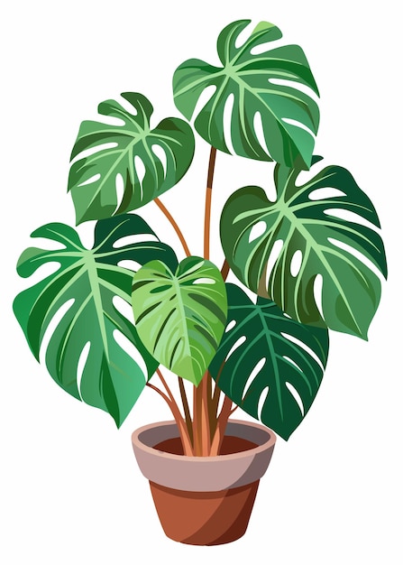 Monster Plant Vector art on white background