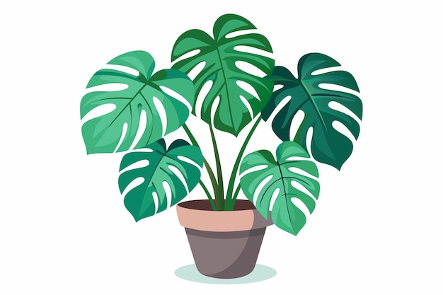 Monster Plant Vector art on white background