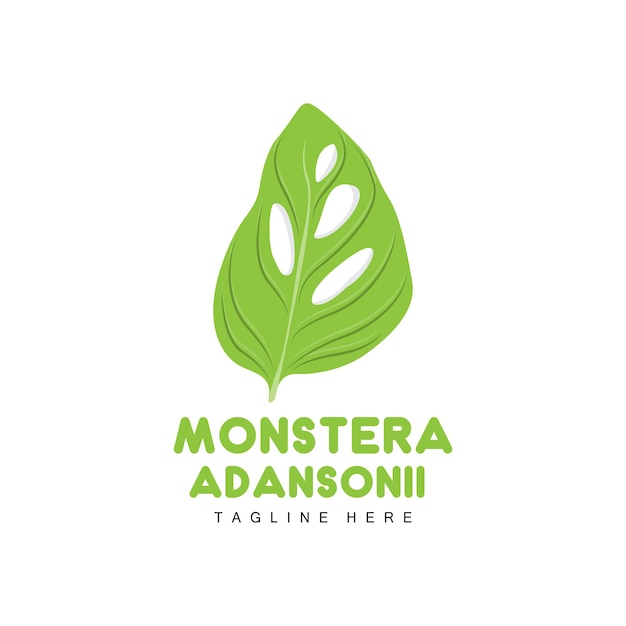 Monstera adansonii Leaf Logo Green Plant Vector Tree Vector Rare Leaf Illustration