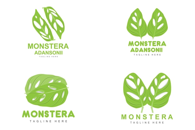 Monstera adansonii Leaf Logo Green Plant Vector Tree Vector Rare Leaf Illustration