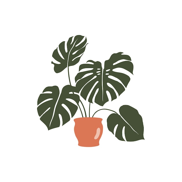 Monstera in clay pot  vector abstract illustration isolated on white background Trendy graphics