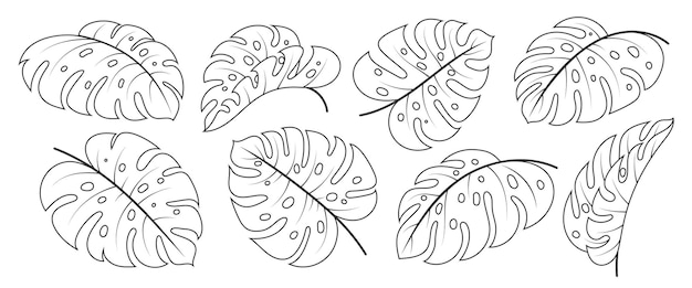 Monstera Deliciosa leaf black line icon set Tropical exotic plant branch Floral scrapbooking doodle hand drawn fashion vector design element Outline philodendron foliage Single leaves on white