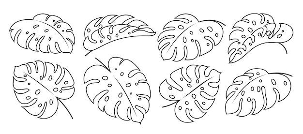 Monstera Deliciosa leaf linear set Philodendron single leaves coloring page template Tropical exotic summer plant branch Floral doodle hand drawn fashion design element Outline jungle foliage