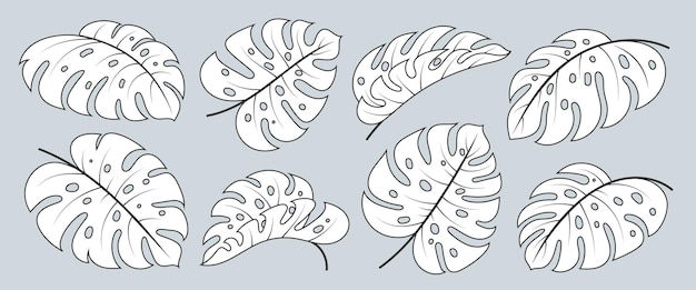 Monstera Deliciosa leaf outline icon set Tropical exotic plant branch Black line white fill hawaiian philodendron foliage Single leaves floral scrapbooking doodle hand drawn textile design element