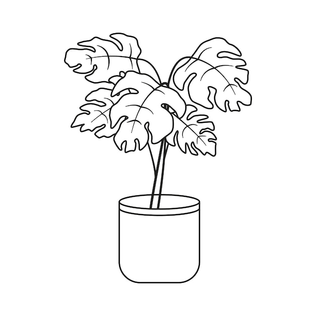 Monstera flower in a pot black and white line drawing style