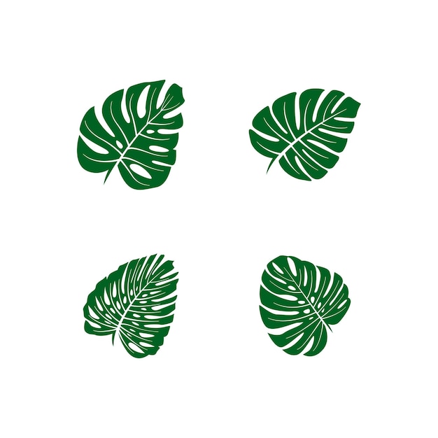 Monstera leaf graphic design template vector