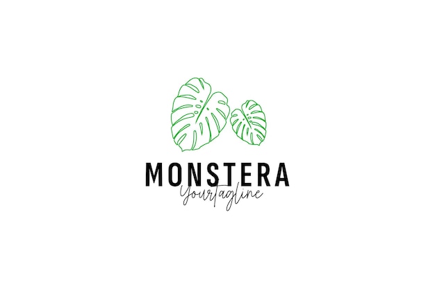 Vector monstera leaf logo vector icon illustration