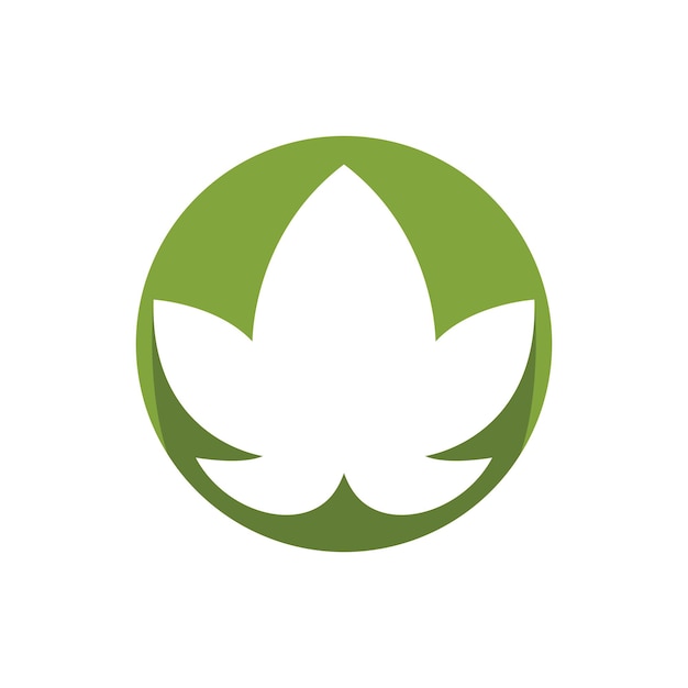 Monstera leaf logo