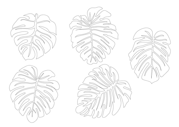 Monstera leaf - one line drawing. Continuous line exotic plant. Hand-drawn minimalist illustration