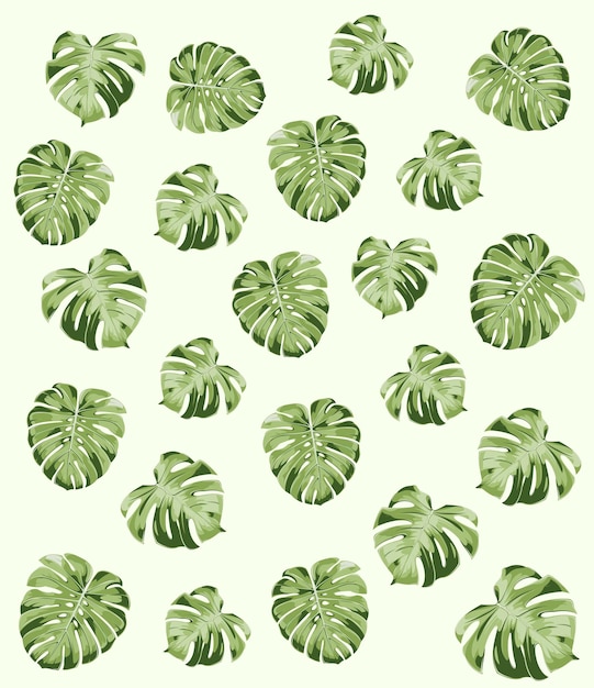 Monstera leaf pattern background