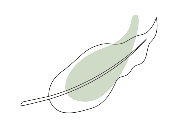 Monstera leaf of tropical plant in line art with green blot