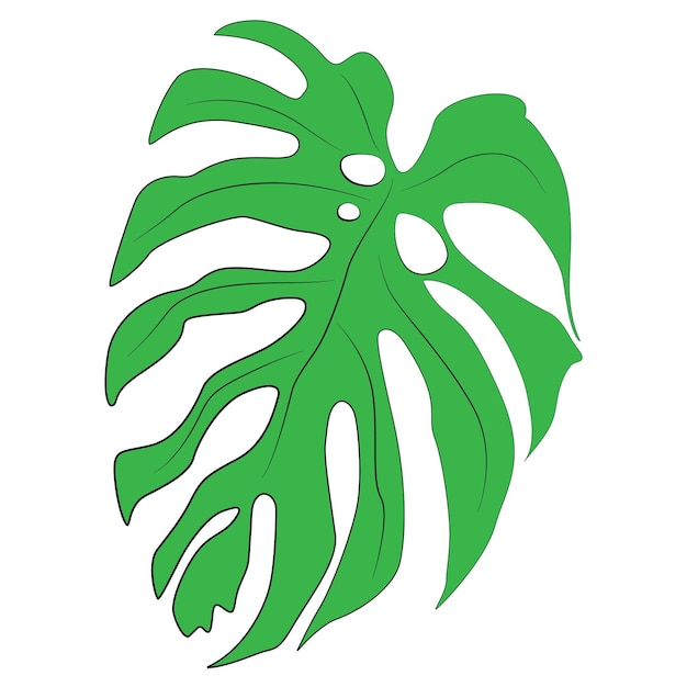 Monstera leaf tropical single vector element