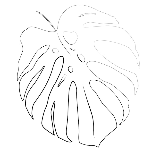 Monstera leaf vector black lines