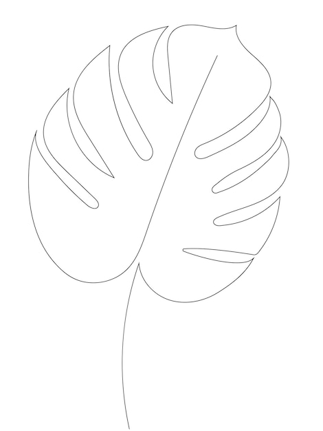 Monstera leaf vector in one line continuous outline drawing in minimalistic style Botany tropical leaf