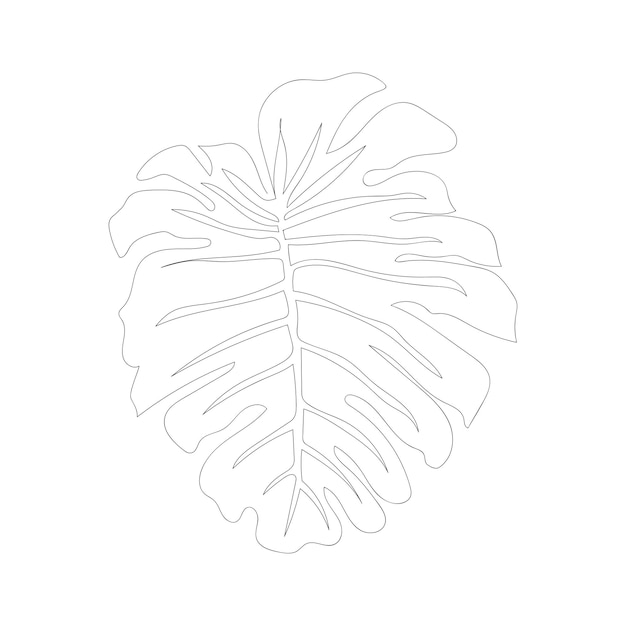 Monstera leaves illustration. One line leave. Single line art