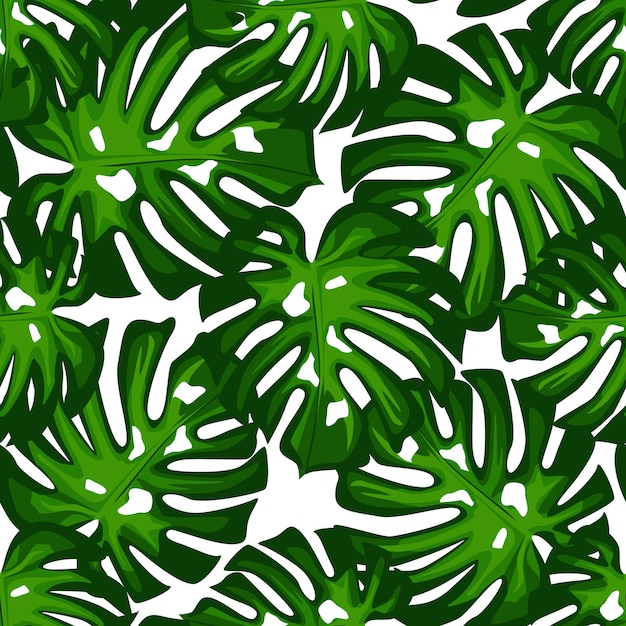 Monstera leaves seamless patern. Botanical leaf backdrop. Design for fabric, textile print, wrapping paper. Vector illustration