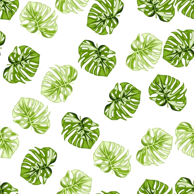 Monstera leaves seamless pattern Exotic jungle plants endless wallpaper Leaf background Hawaiian rainforest floral backdrop