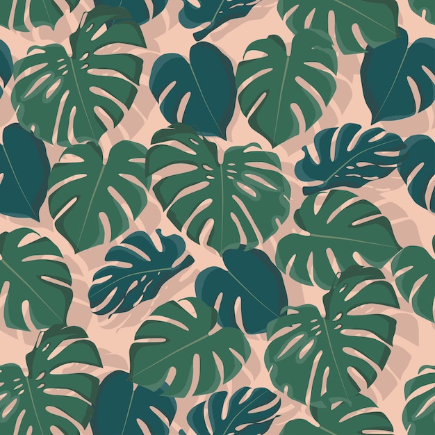 Monstera leaves silhouette with shadows pattern on trendy coral background