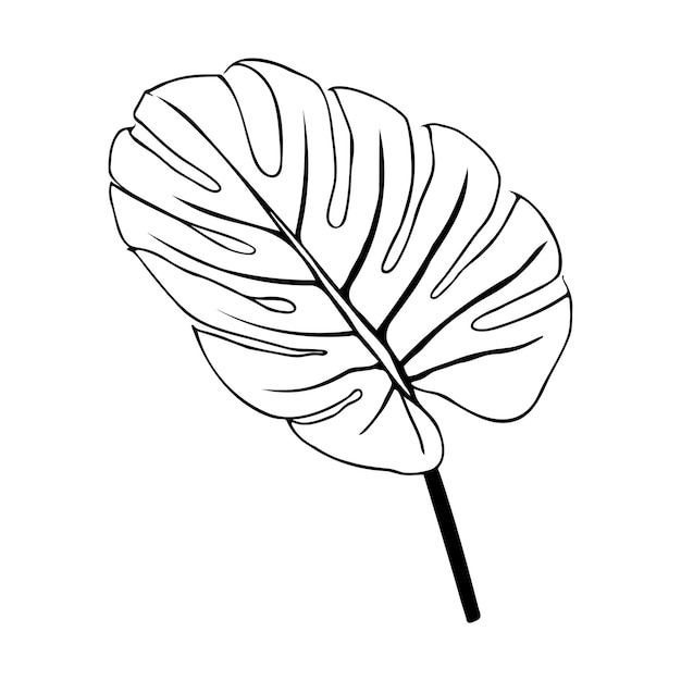 Monstera or palm leaf isolated leaf outline Black sketch of a plant isolated on a white background