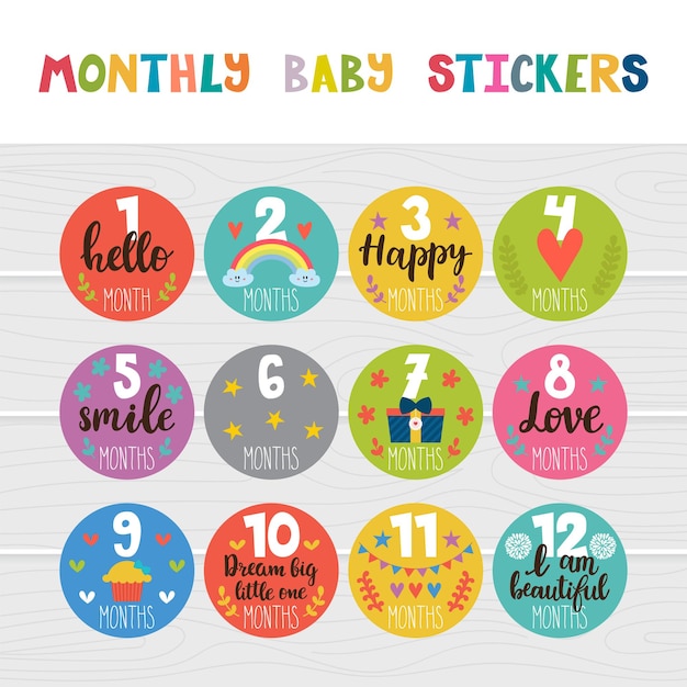 Monthly baby stickers for little girls and boys Month by month stickers Great baby shower gift Love