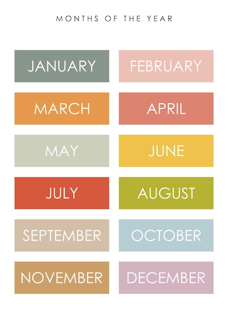 Vector months of the year illustration educational material kids vector kindergarten illustration