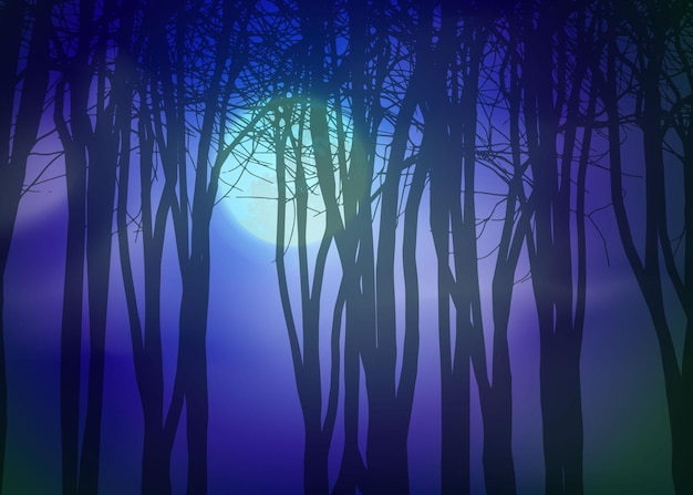 Vector moon light in darkness autumn forest