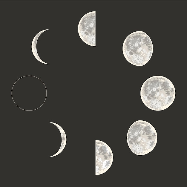 Moon phases Full cycle Realistic style Vector illustration