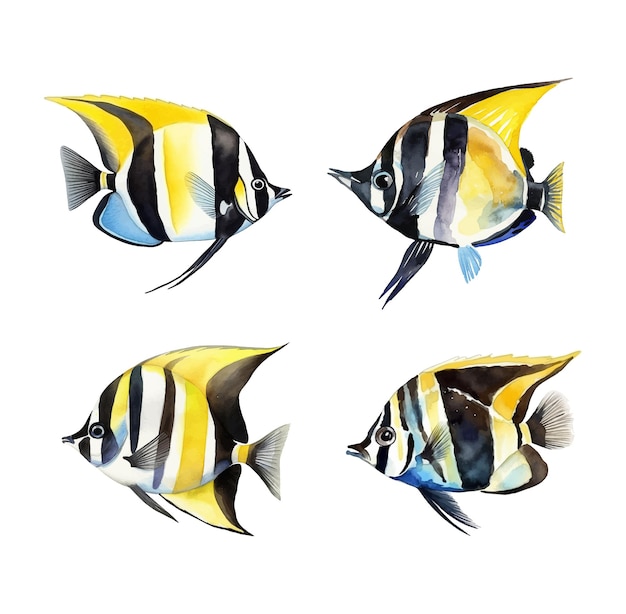 Vector moorish idol watercolor paint collection