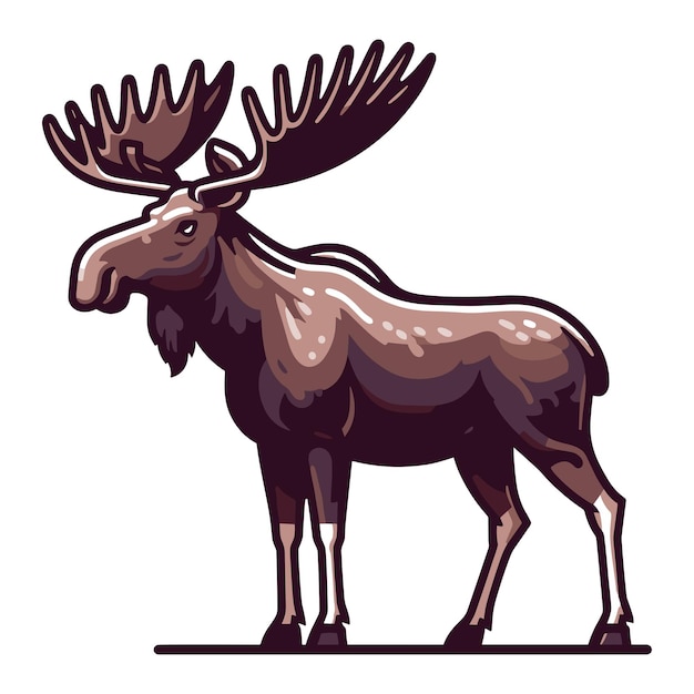 Moose buck elk full body vector illustration zoology illustration wild animal moose design