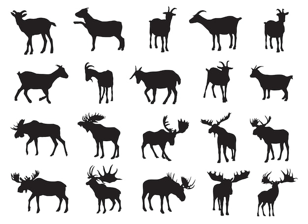 Moose and goat silhouette