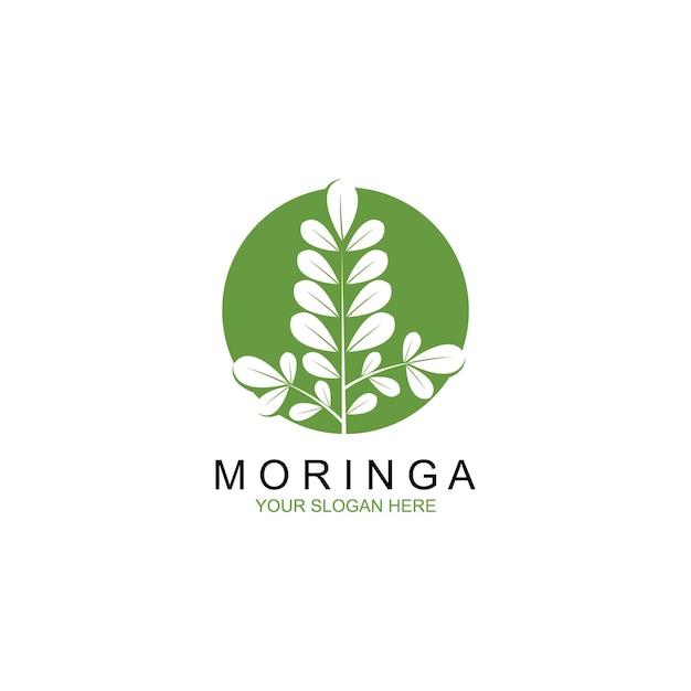 Moringa leaf logo vector