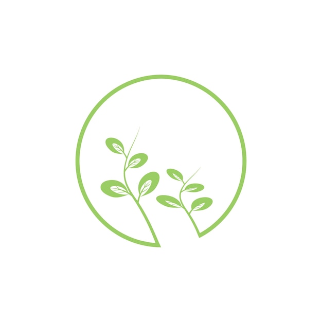 Moringa leaves icon vector illustration template design